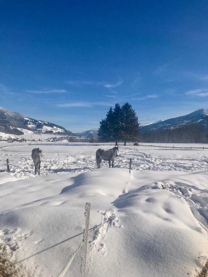 Traumhafte Wohnung Auf Pferde Ranch Aich  Exteriér fotografie