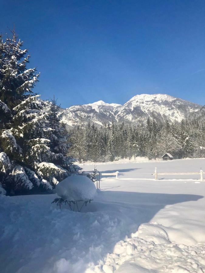 Traumhafte Wohnung Auf Pferde Ranch Aich  Exteriér fotografie