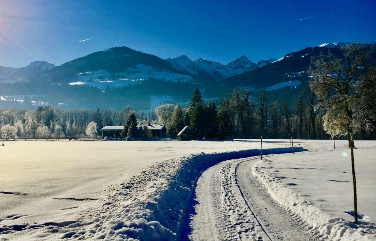 Traumhafte Wohnung Auf Pferde Ranch Aich  Exteriér fotografie