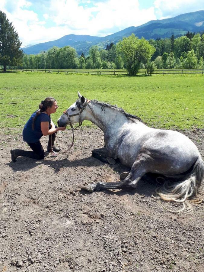 Traumhafte Wohnung Auf Pferde Ranch Aich  Exteriér fotografie
