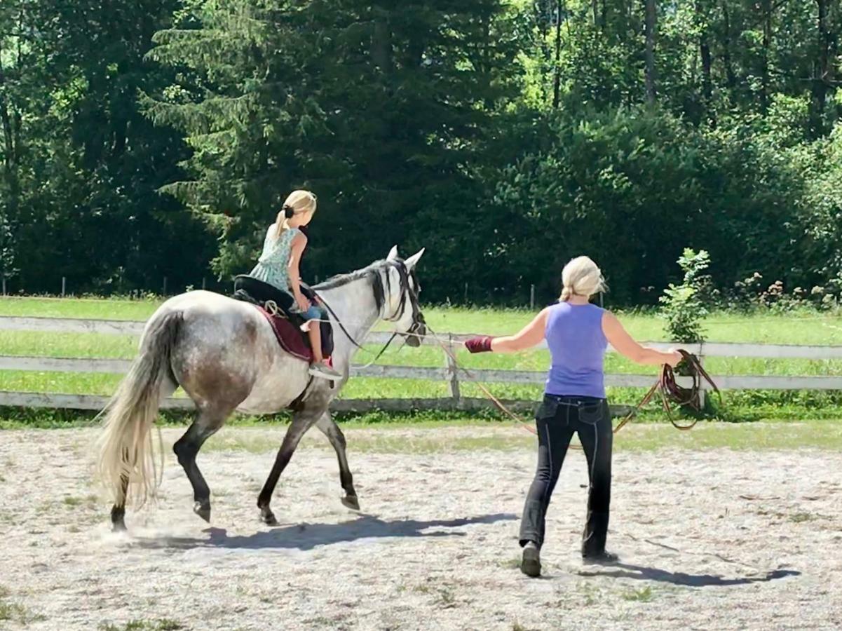 Traumhafte Wohnung Auf Pferde Ranch Aich  Exteriér fotografie